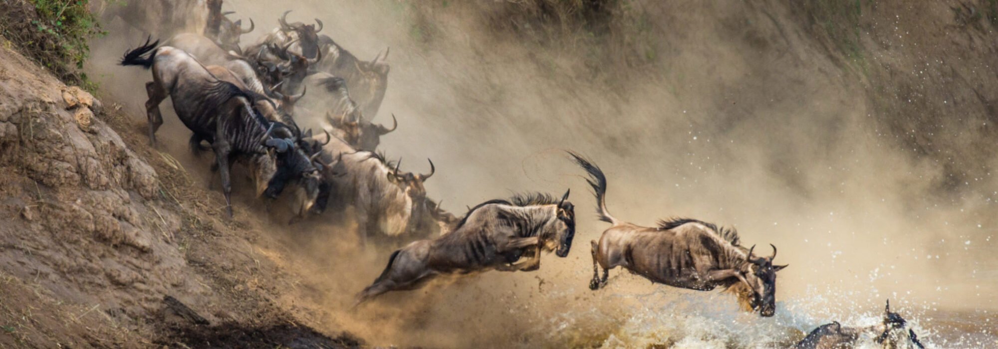 Tanzania Travel travel agents packages deals