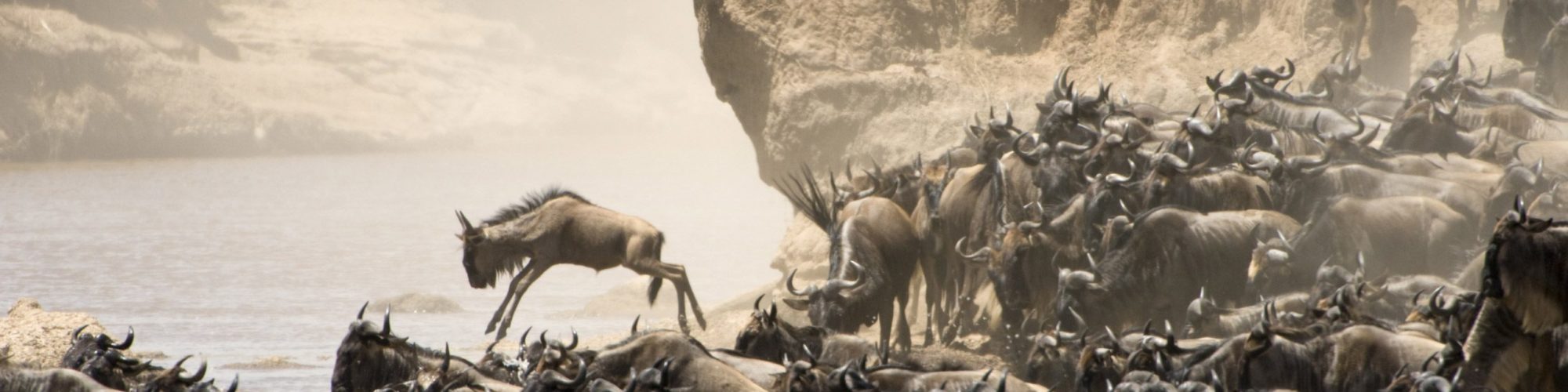 Ica travel agents packages deals