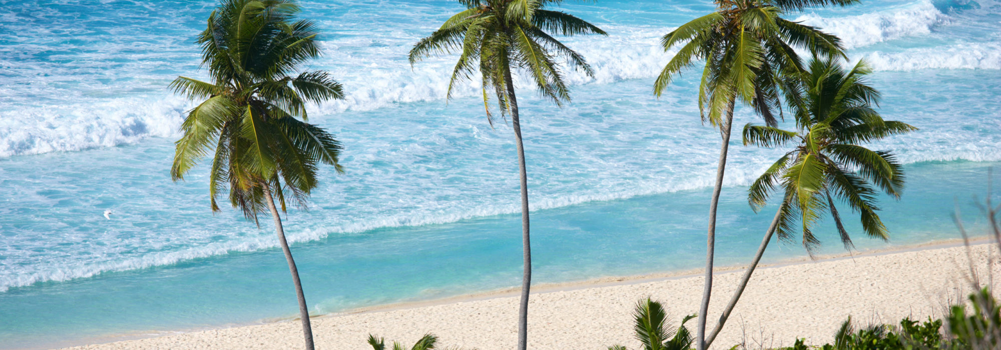 Seychelles Travel travel agents packages deals