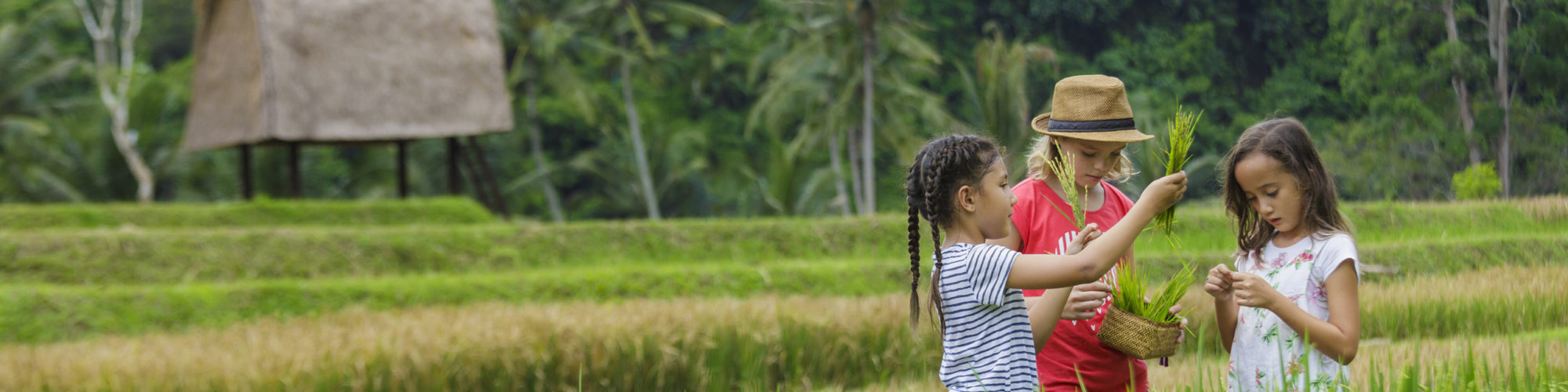 Bali travel agents packages deals