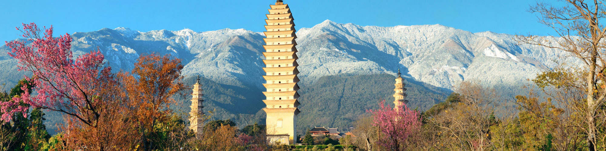 China travel agents packages deals