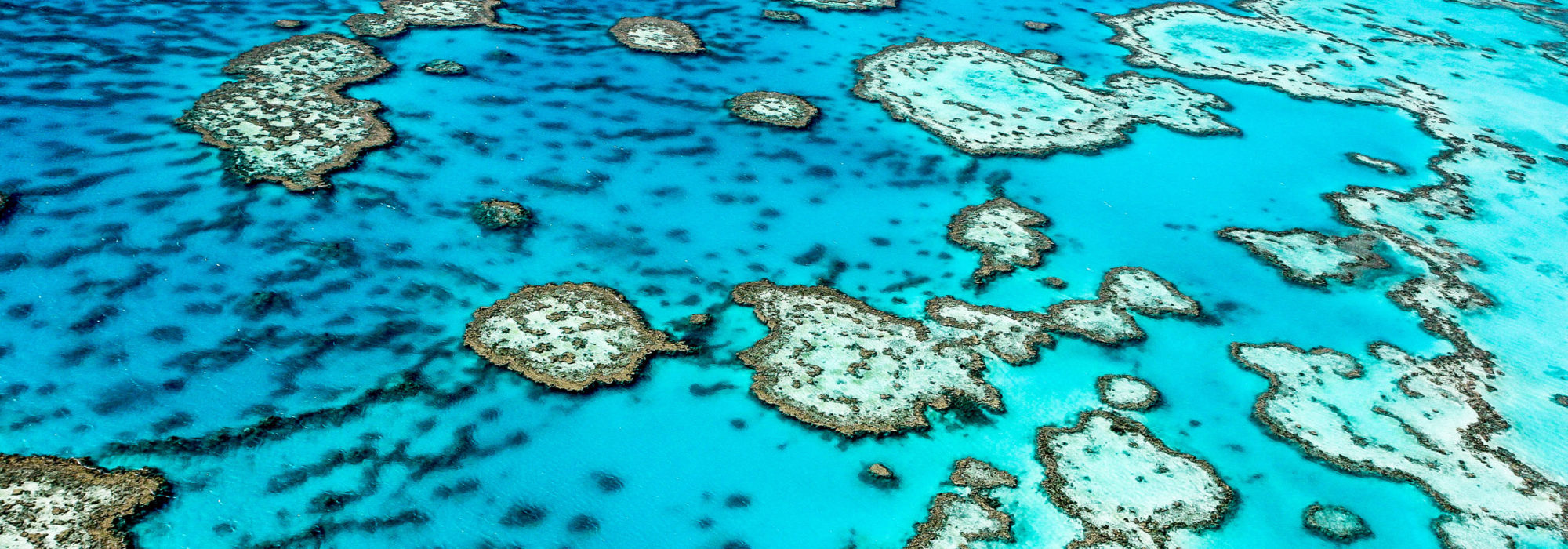 Great Barrier Reef travel agents packages deals
