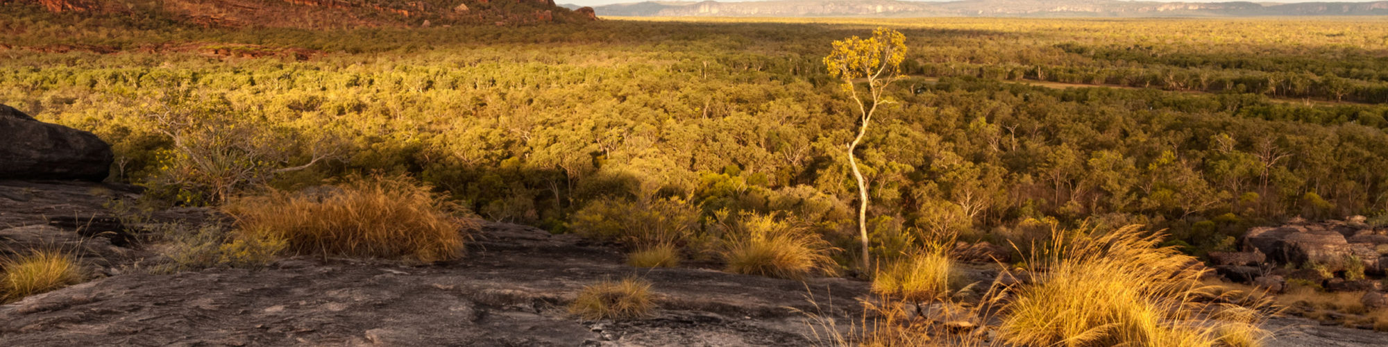 Australia travel agents packages deals