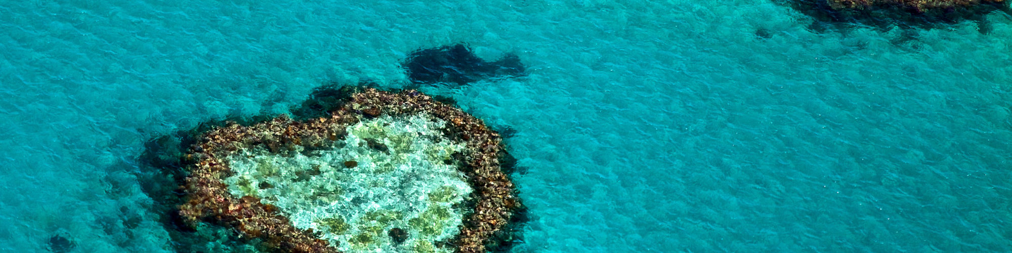  travel agents packages deals