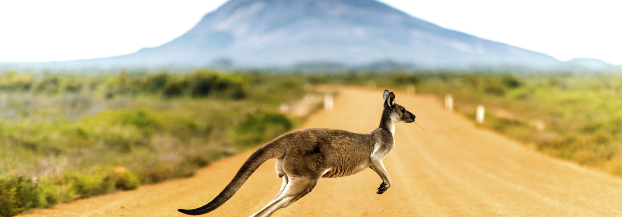 Tours Travel travel agents packages deals