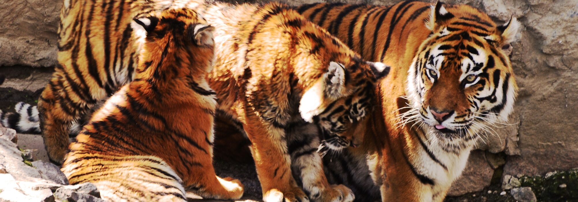  travel agents packages deals