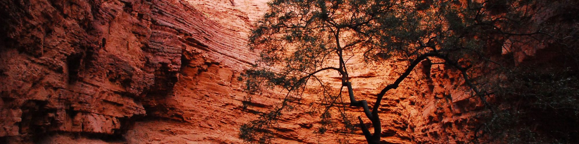 Ha travel agents packages deals