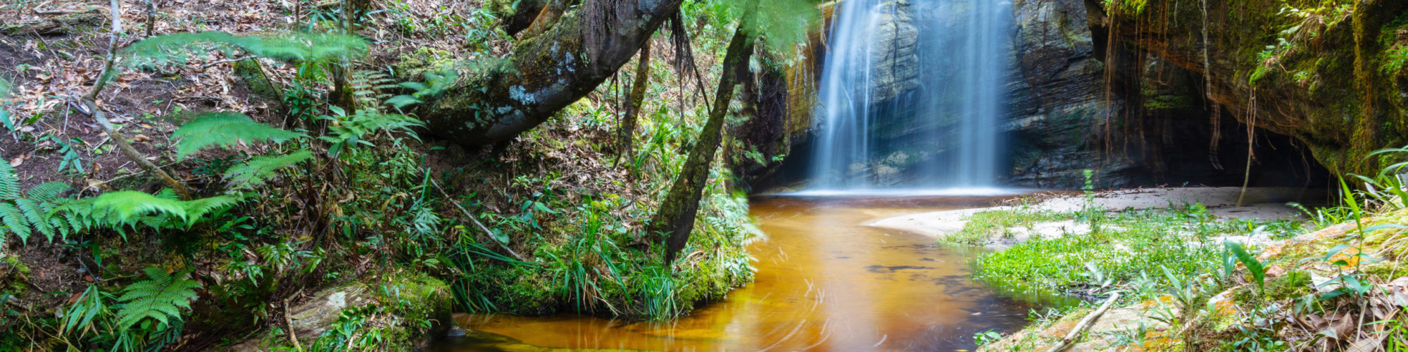 Brazil Travel travel agents packages deals
