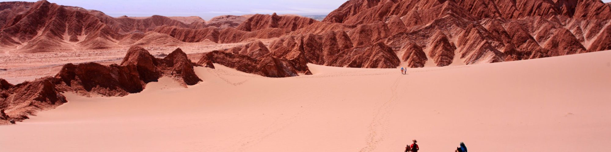 Chile travel agents packages deals