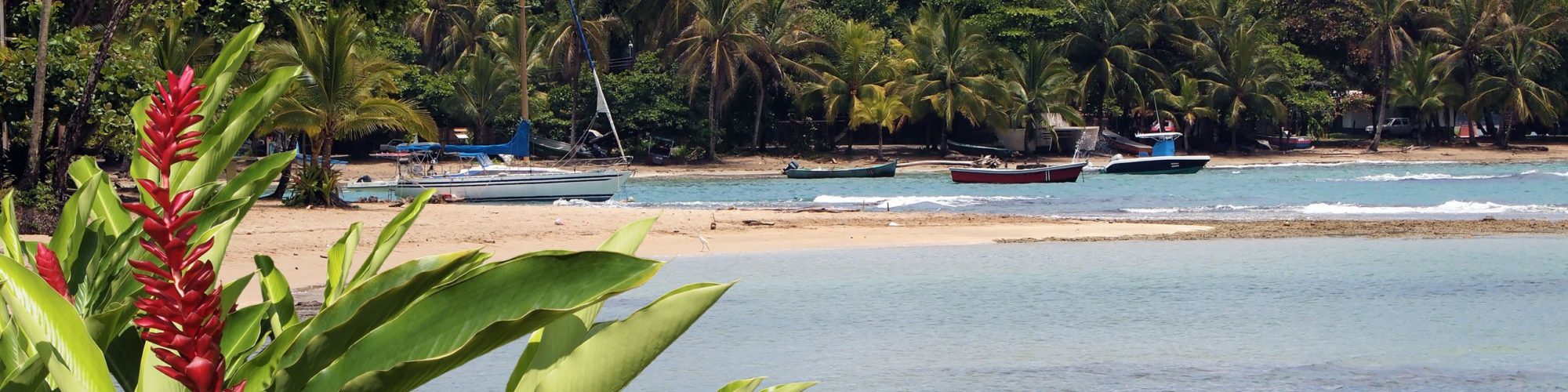 J travel agents packages deals