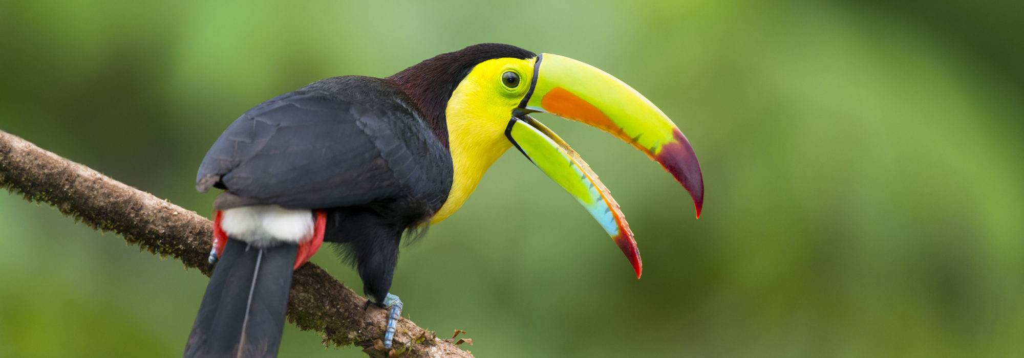 Ecuador travel agents packages deals
