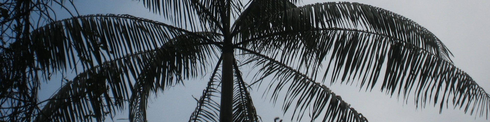 Ecuador travel agents packages deals
