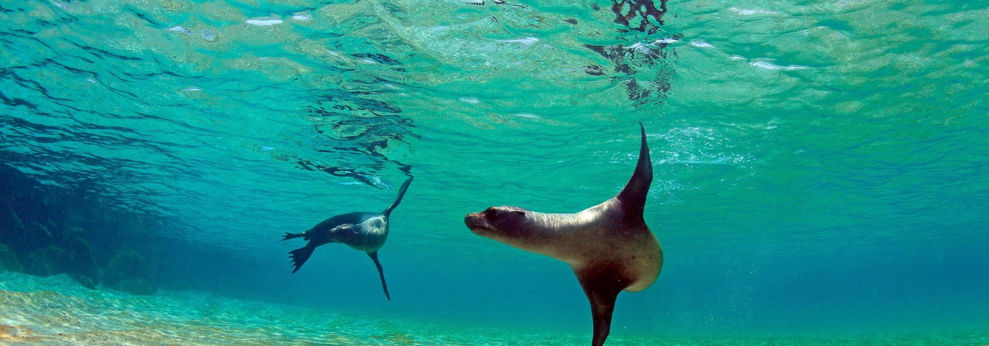 Pag Travel travel agents packages deals