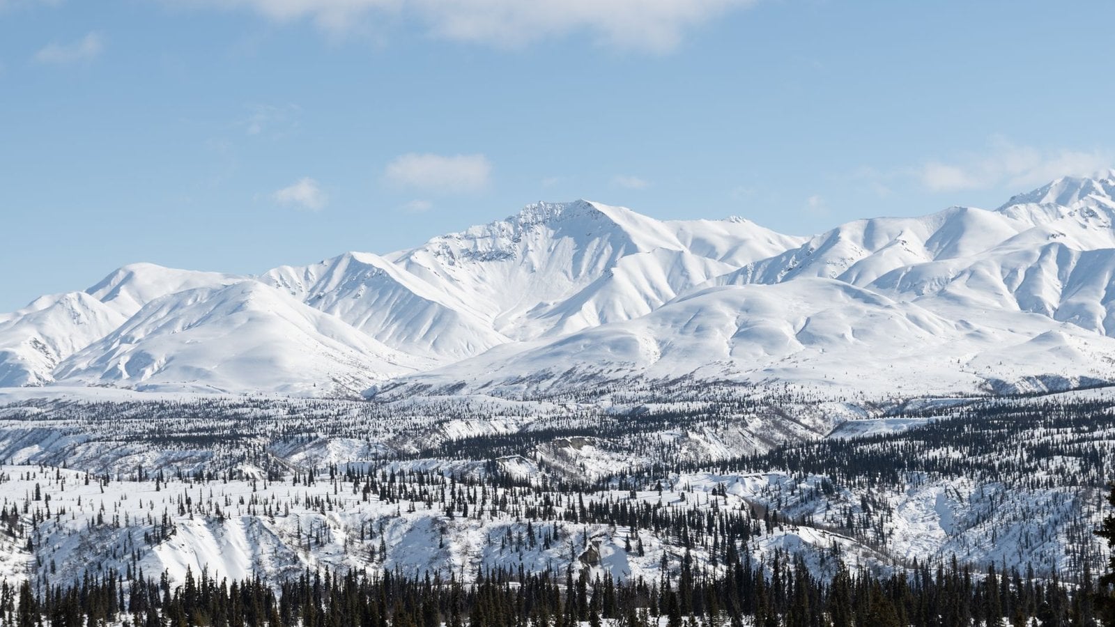 Alaska By Rail