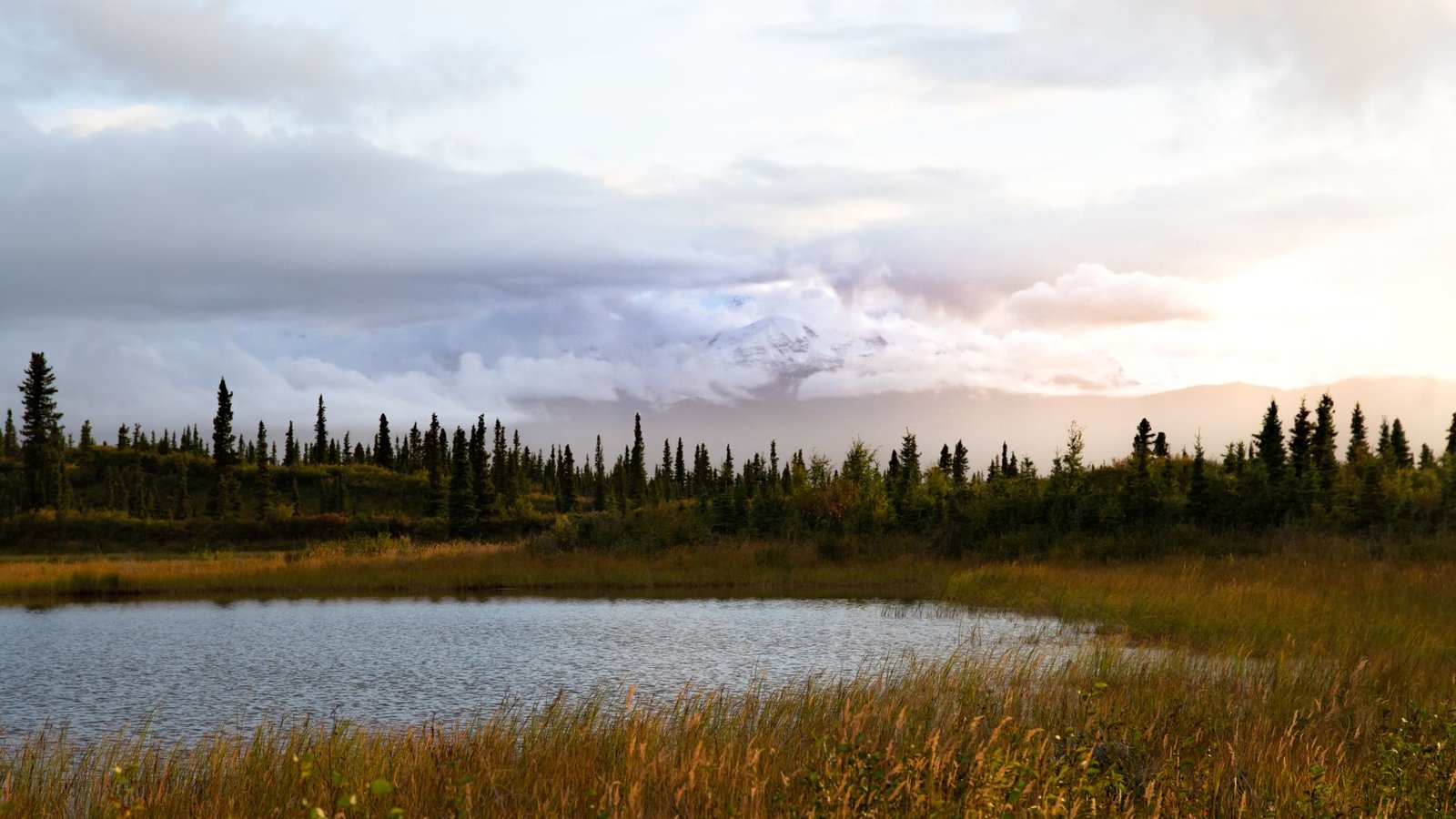 Alaska Tours