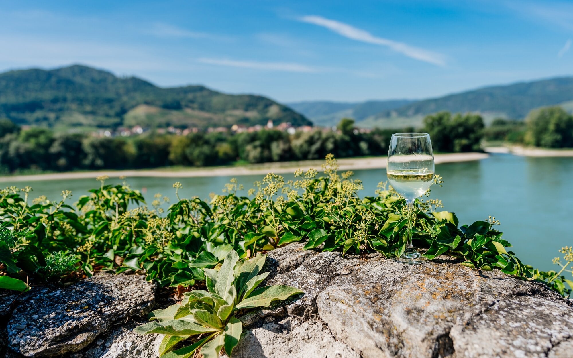 Amawaterways Wine Cruises