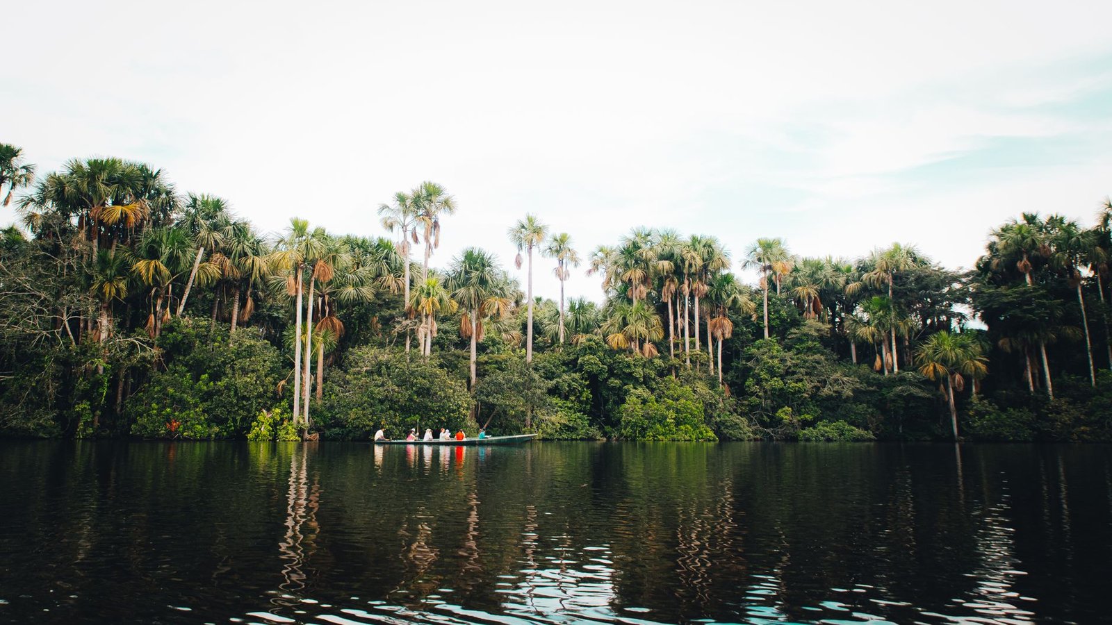 Best Amazon Rainforest Tours Travel Agents