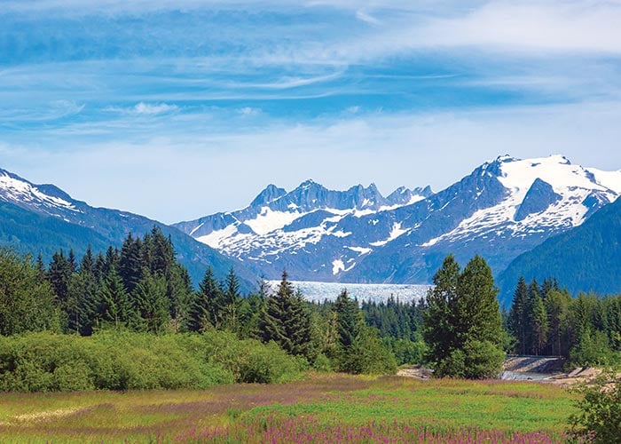 American Cruise Lines Alaska Travel Agents & Specialists