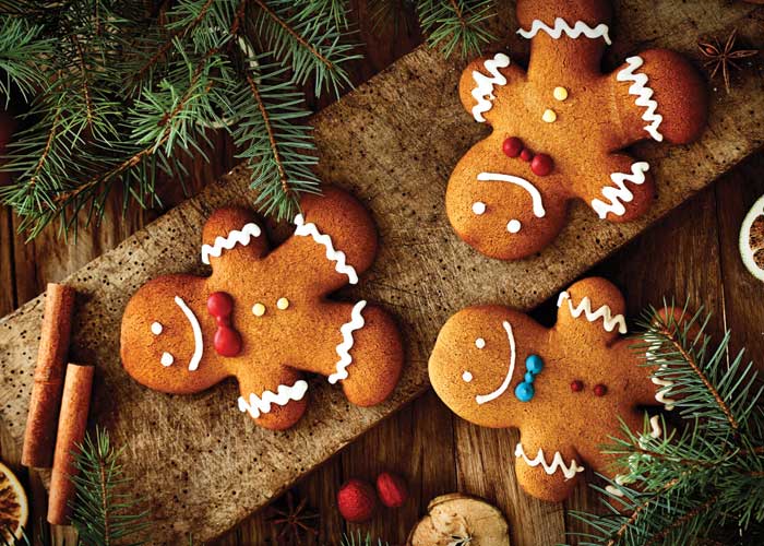 American Cruise Lines Holiday Christmas Cruises
