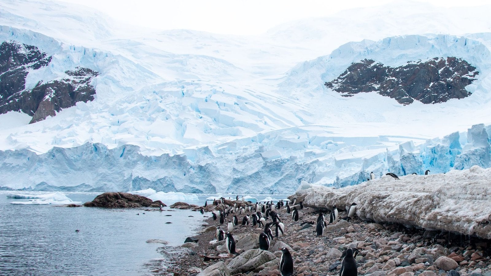 Antartica