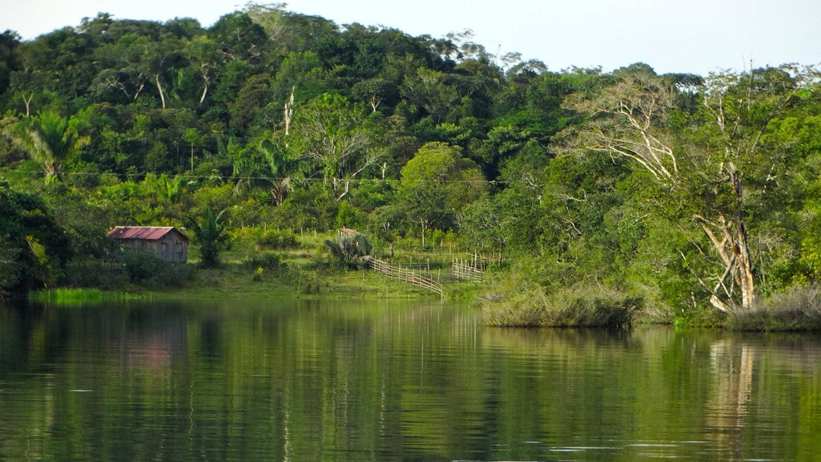 Aqua Expeditions Amazon River