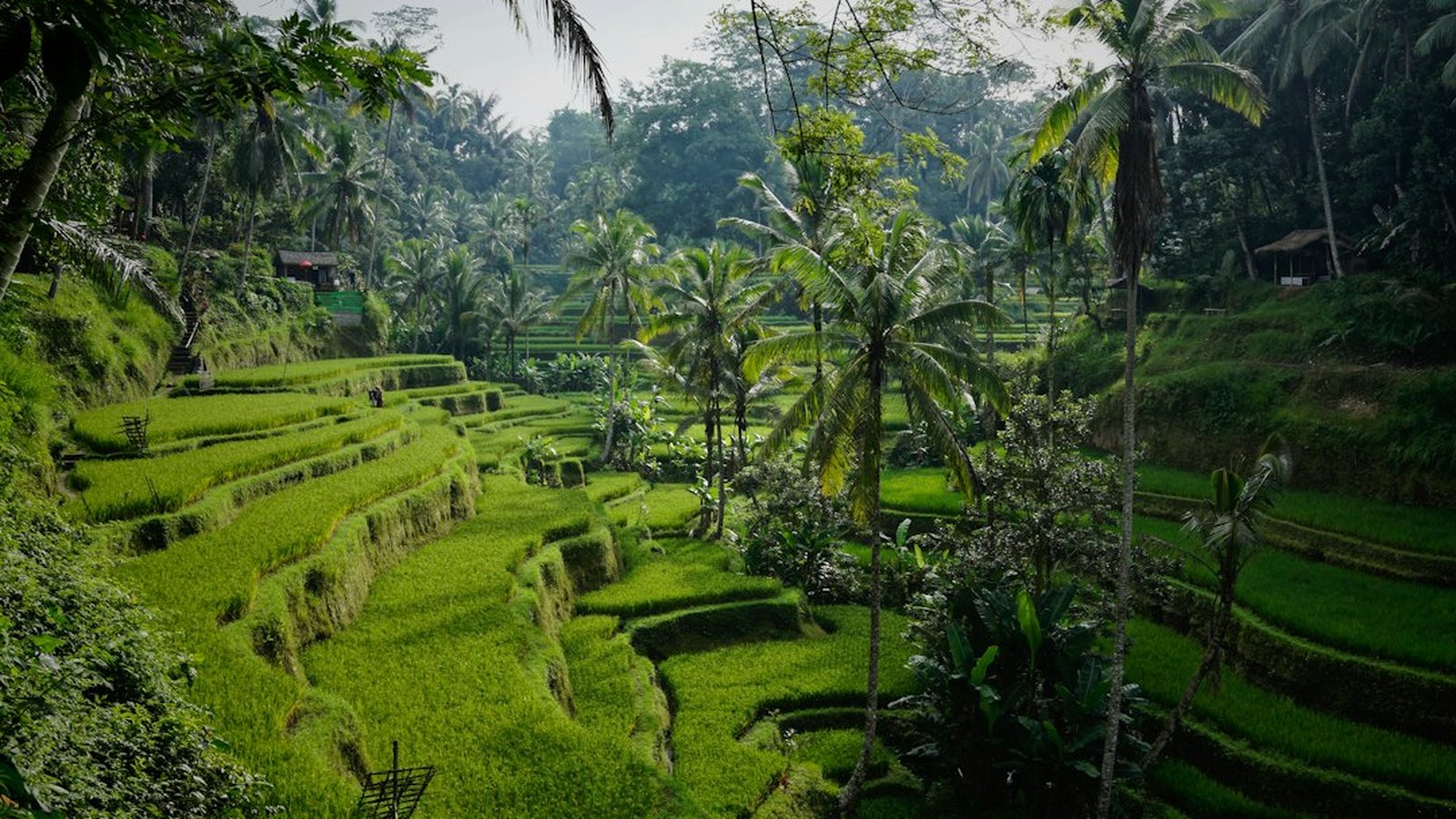 Best Asia Travel Agents - Iconic Asian Cultural Landscapes