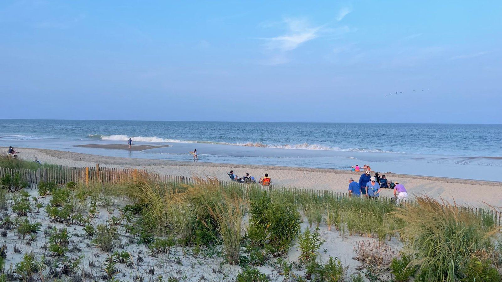 Best Autism-Friendly Vacation Travel Agents