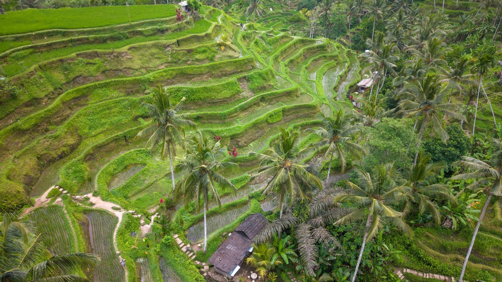 Bali Vacation