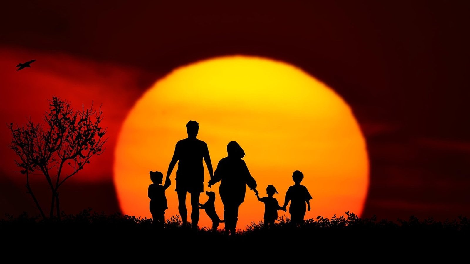 Best Family Vacation Destinations