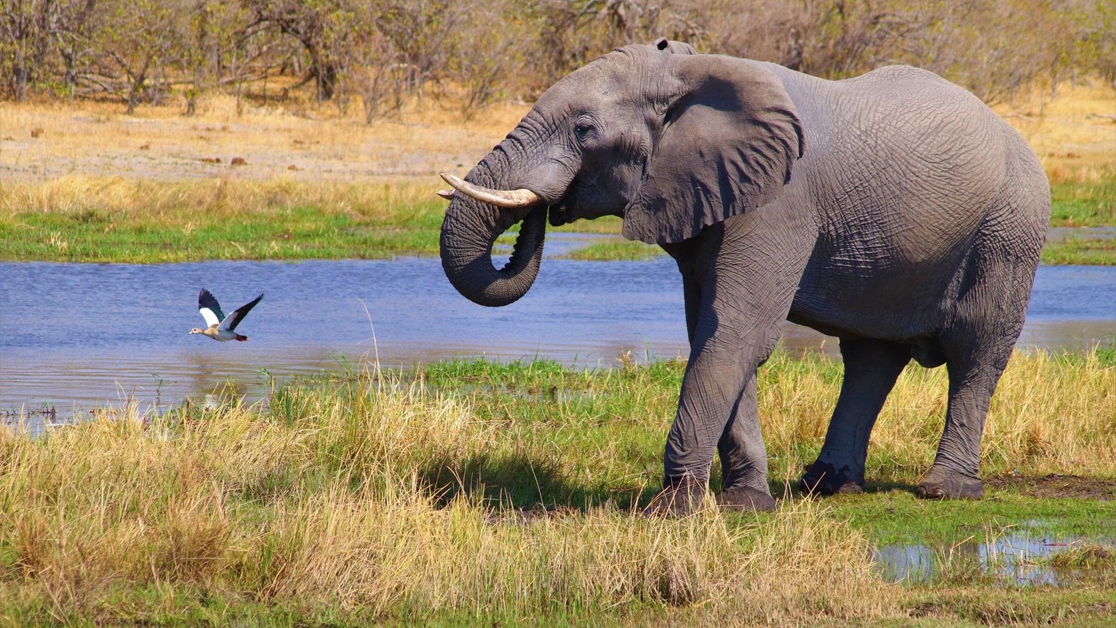 Botswana