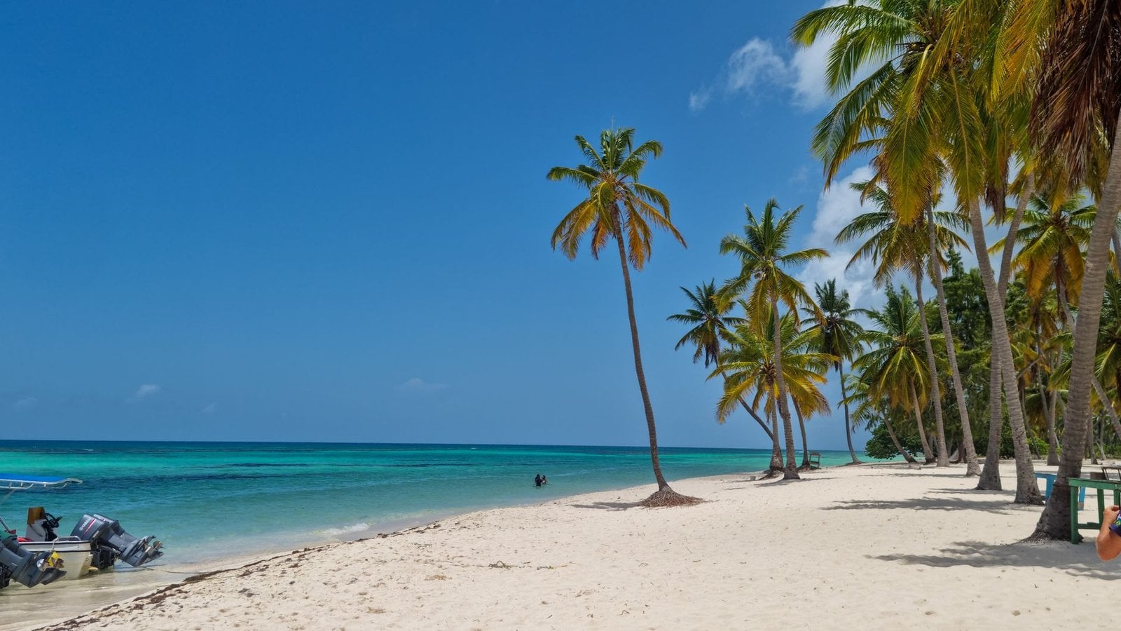 Caribbean