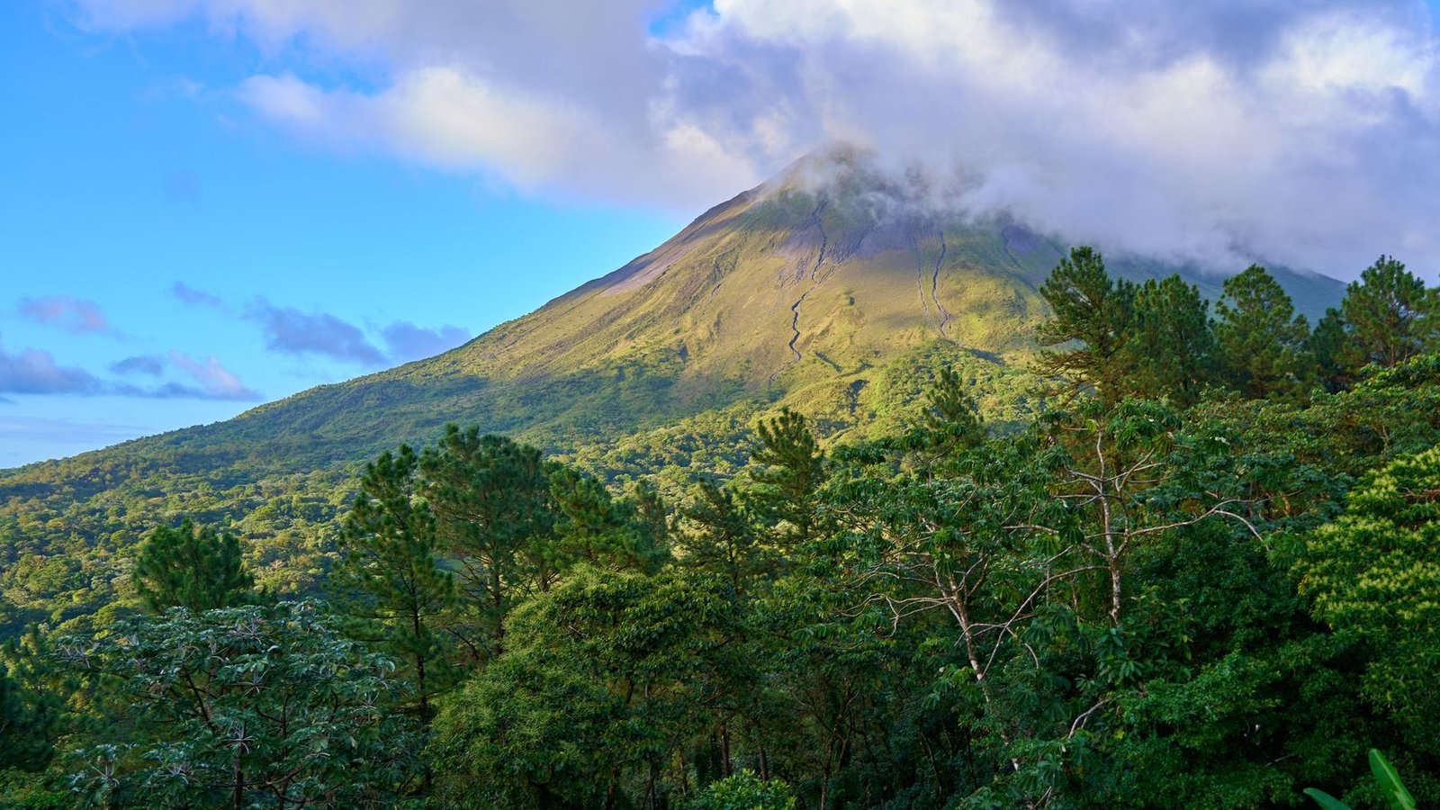 Costa Rica Travel Agents