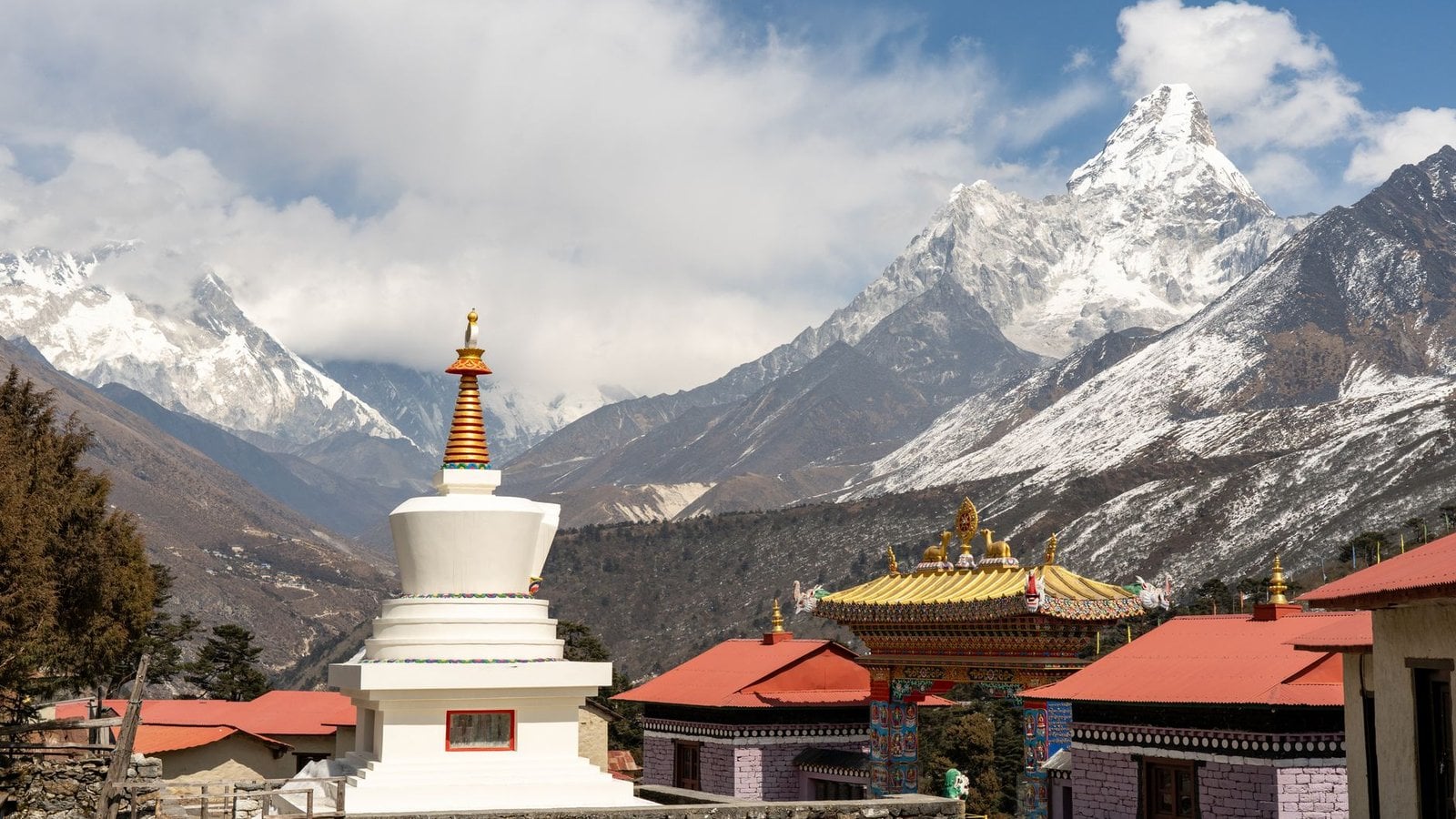 Best Dharma Adventures Travel Agents