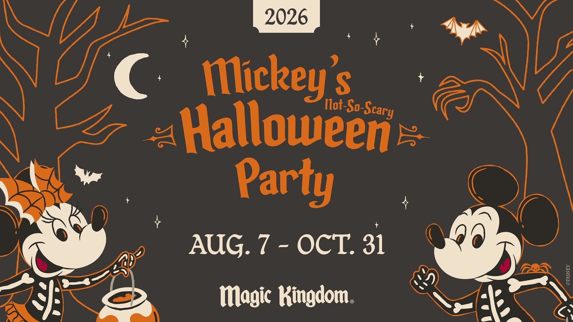 Disney Private Vip Tours