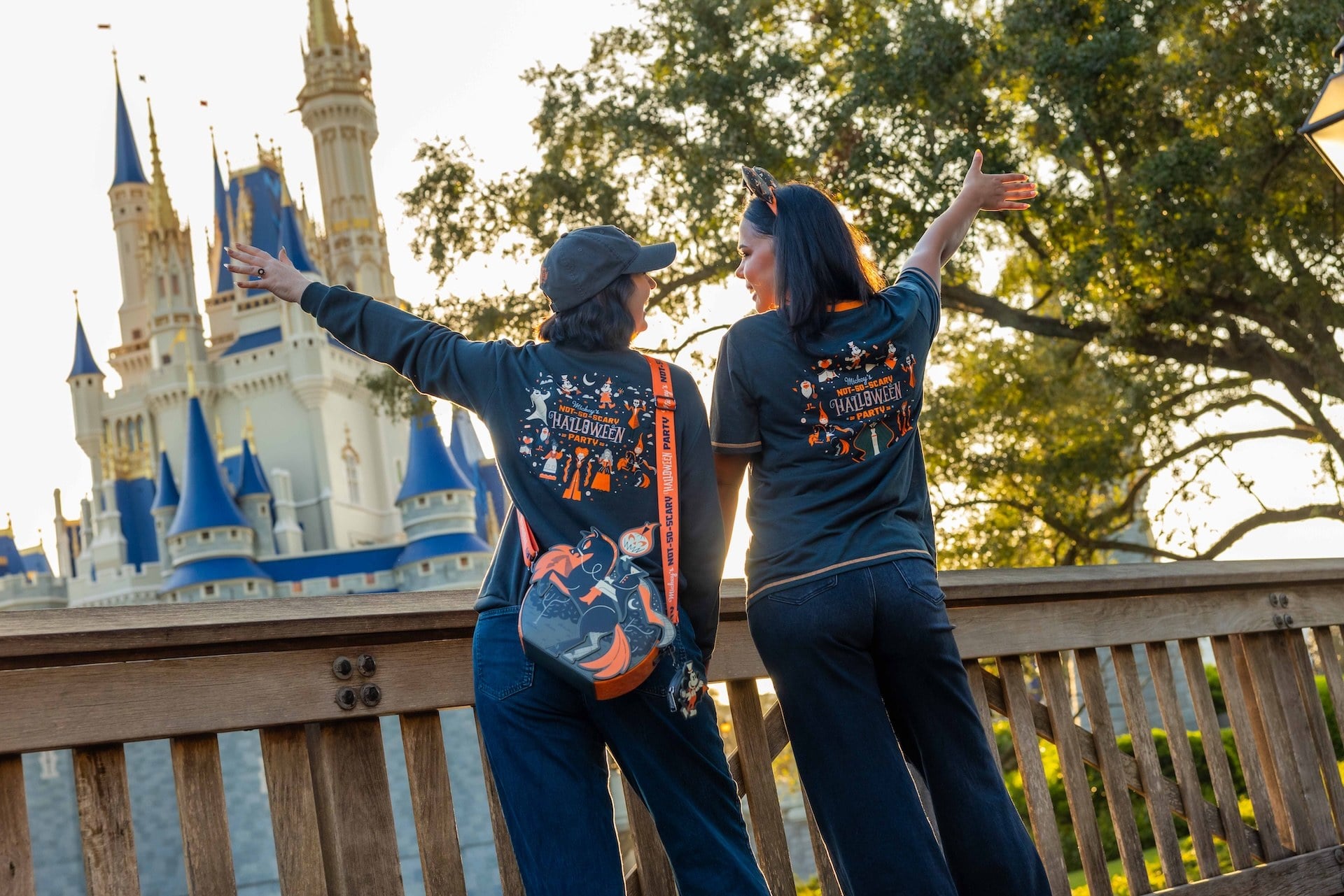 Disney Vip Itinerary Planning