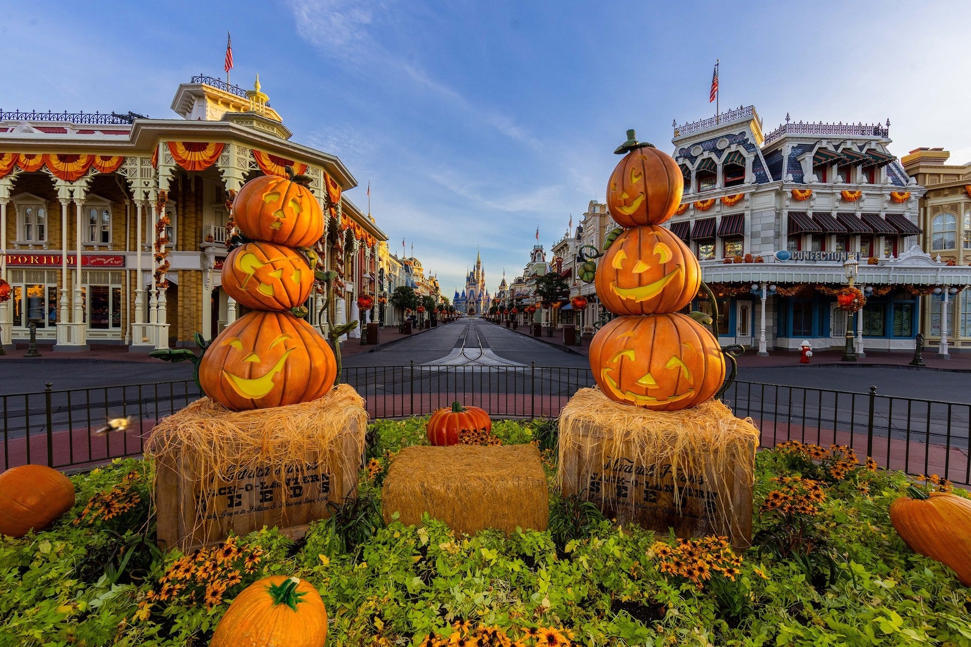Disney World Concierge Level Packages