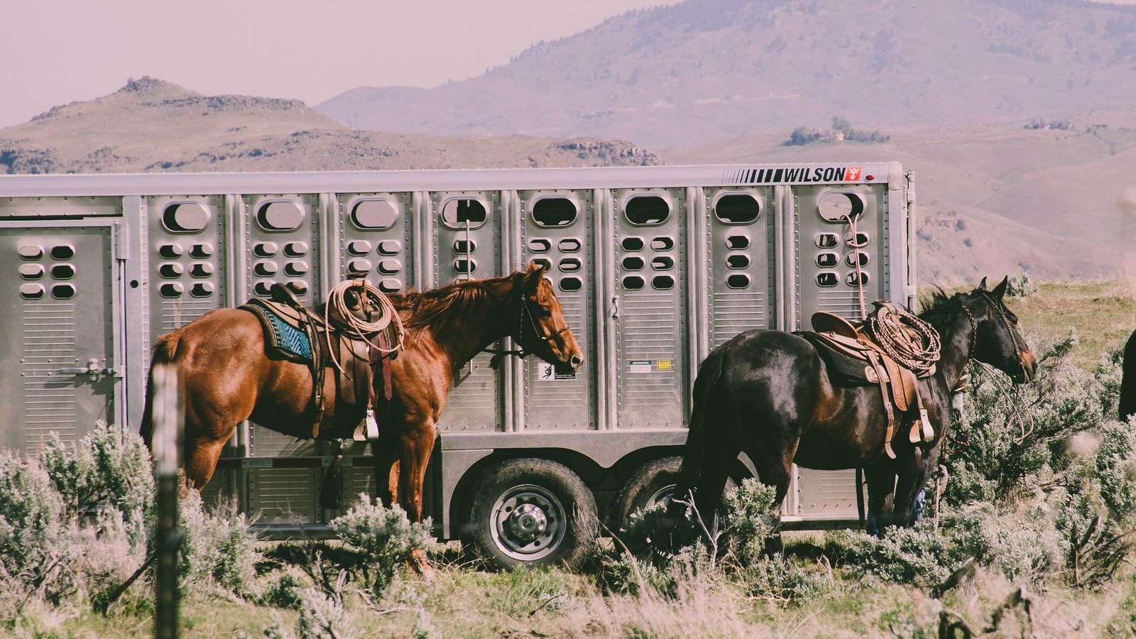 Best Dude Ranches Travel Agents
