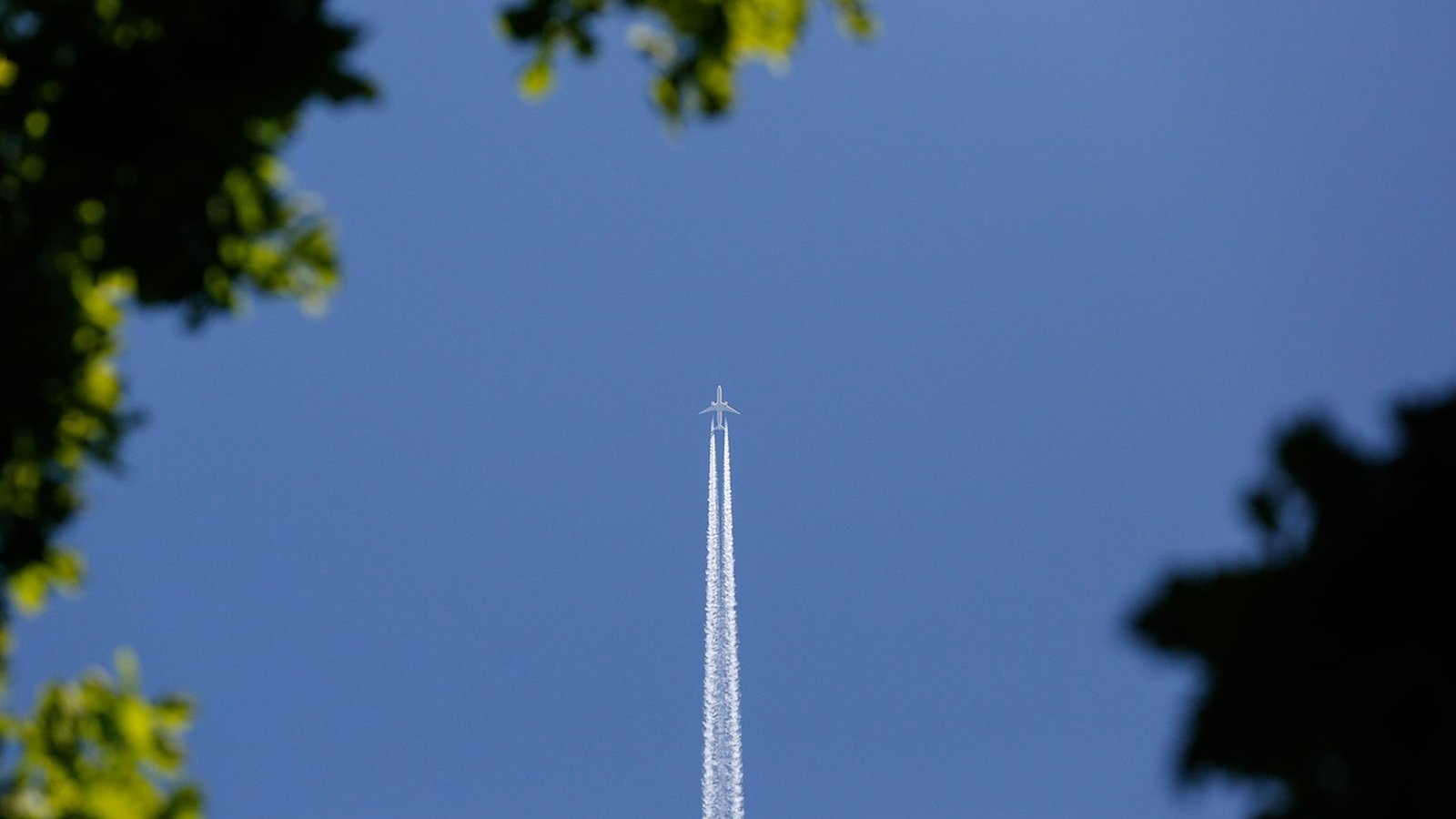 Best Fare Buzz Flights Travel Agents