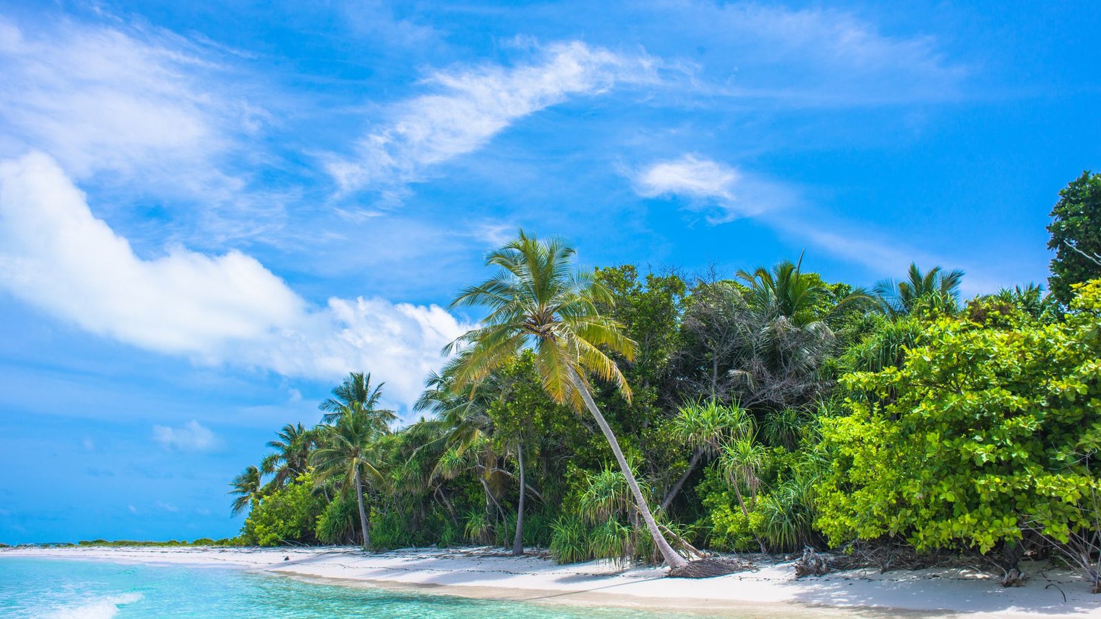 Funjet Vacations Deals Promo Codes