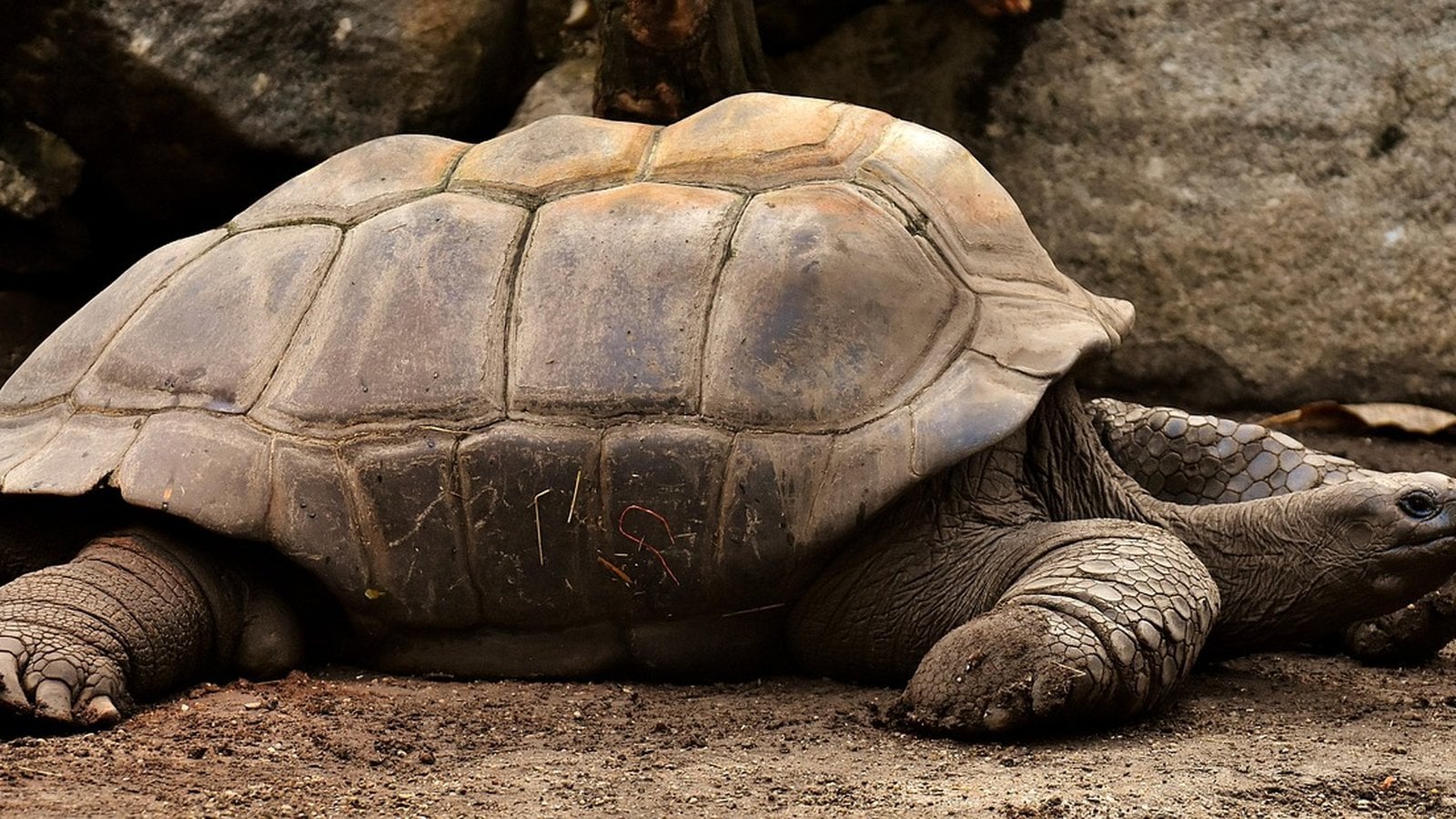 G Adventures Galapagos Cruises