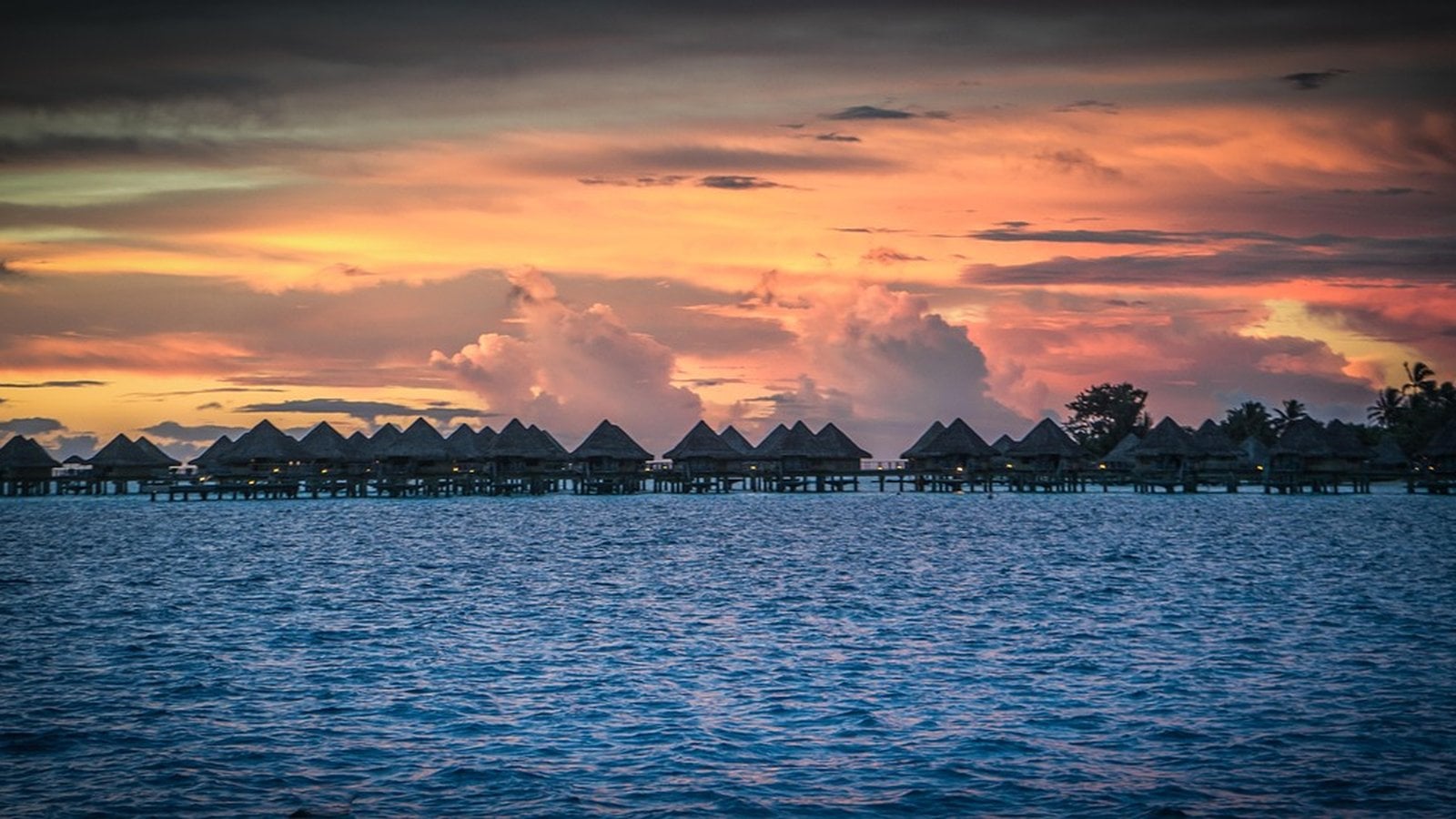 Gogo Vacations Long Haul