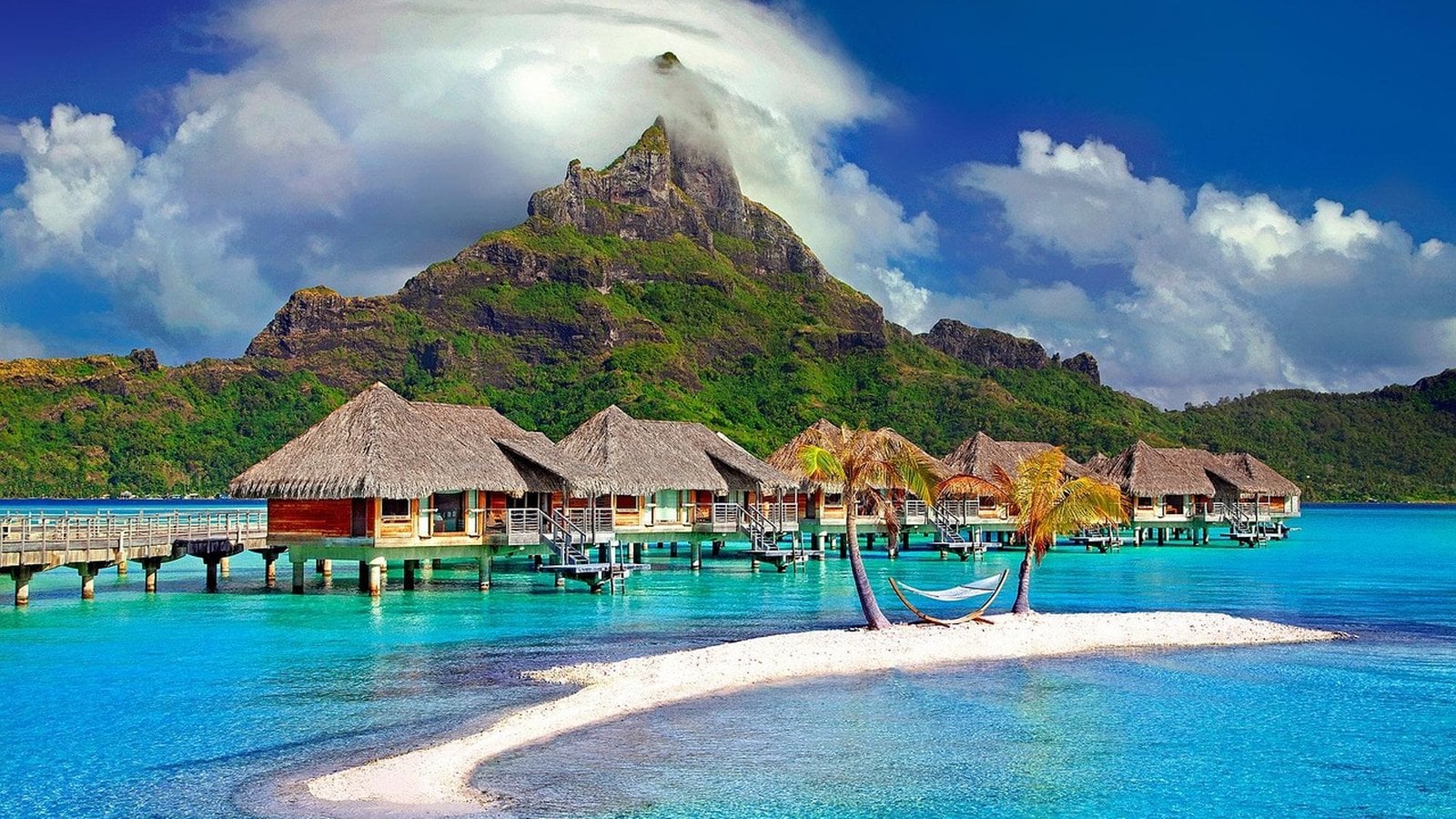 Gogo Vacations