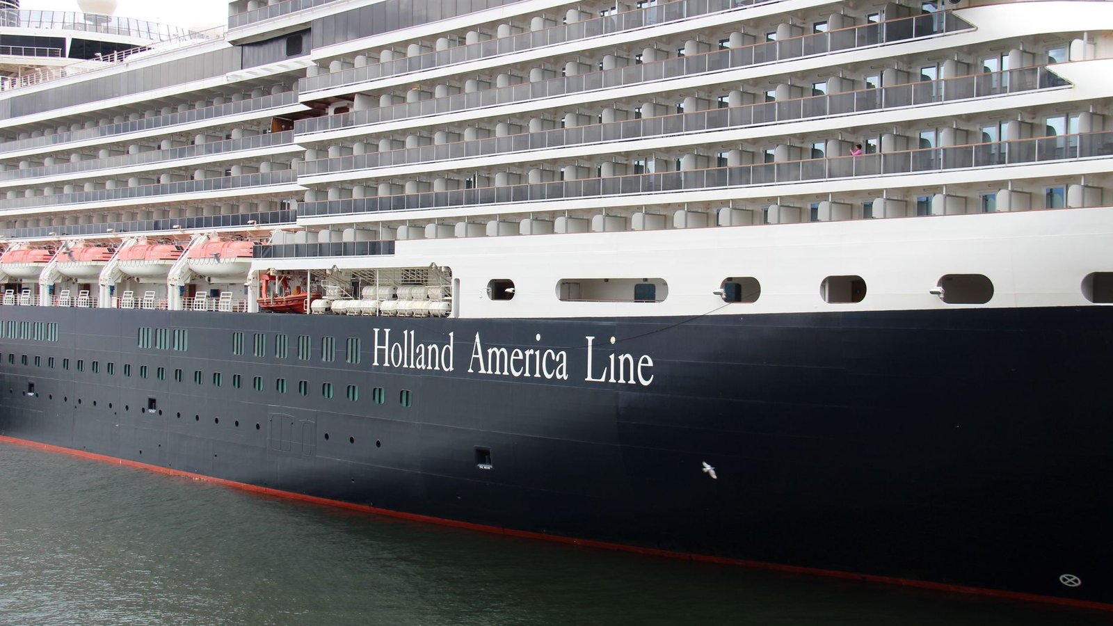 Holland America Club Orange & Pinnacle Suites Travel Agents