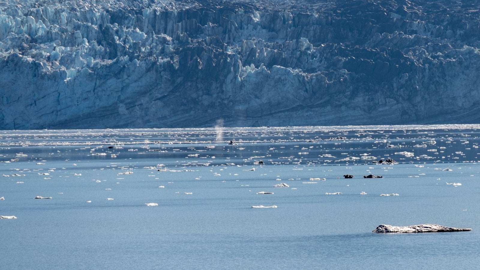 Hx Alaska Southeast