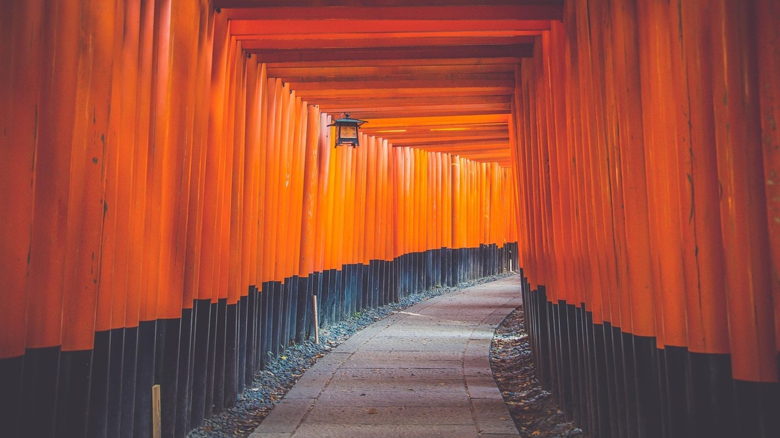 Best Into Japan Specialist Tours Travel Agents