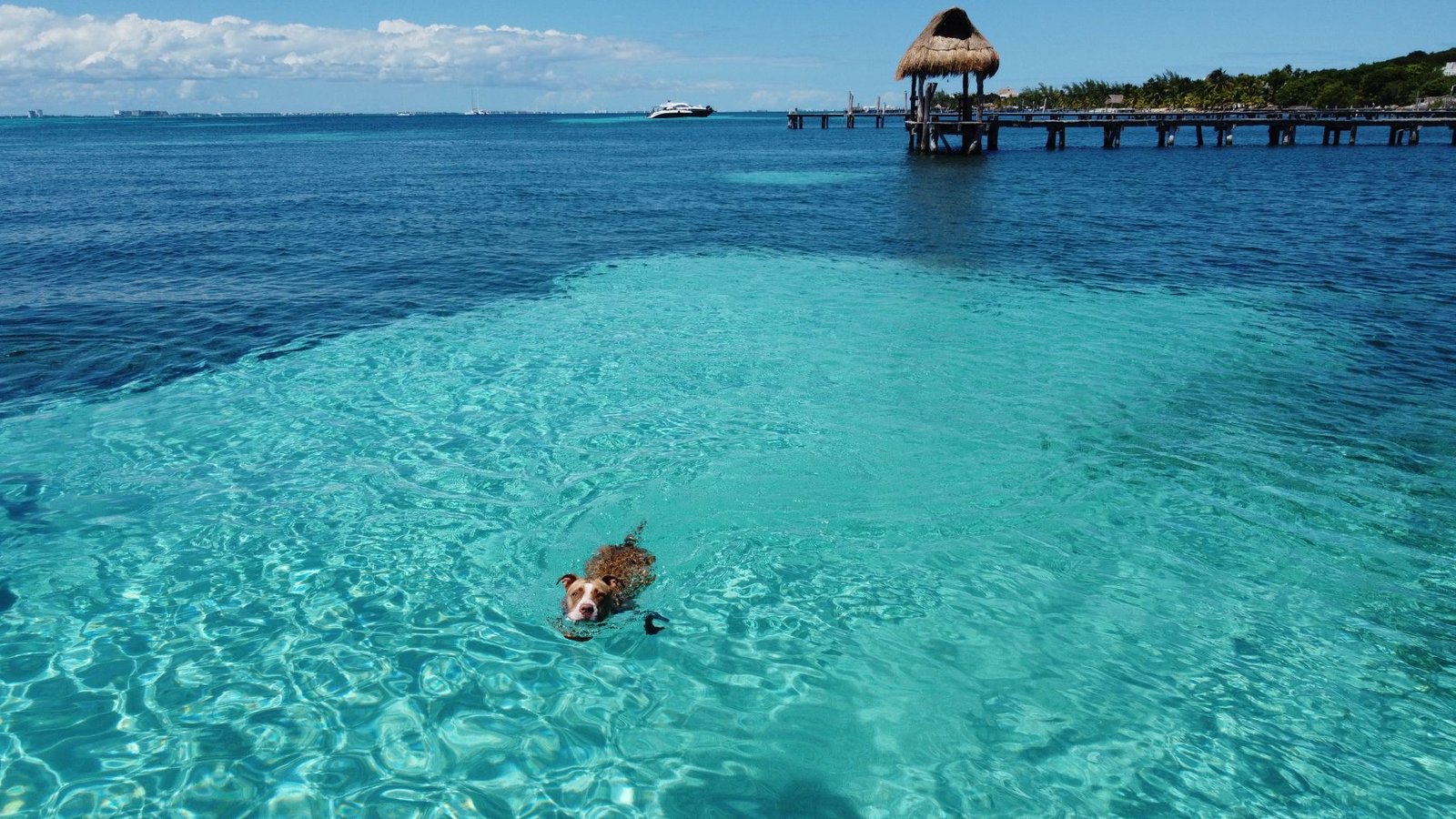 Best Isla Mujeres Vacation Travel Agents
