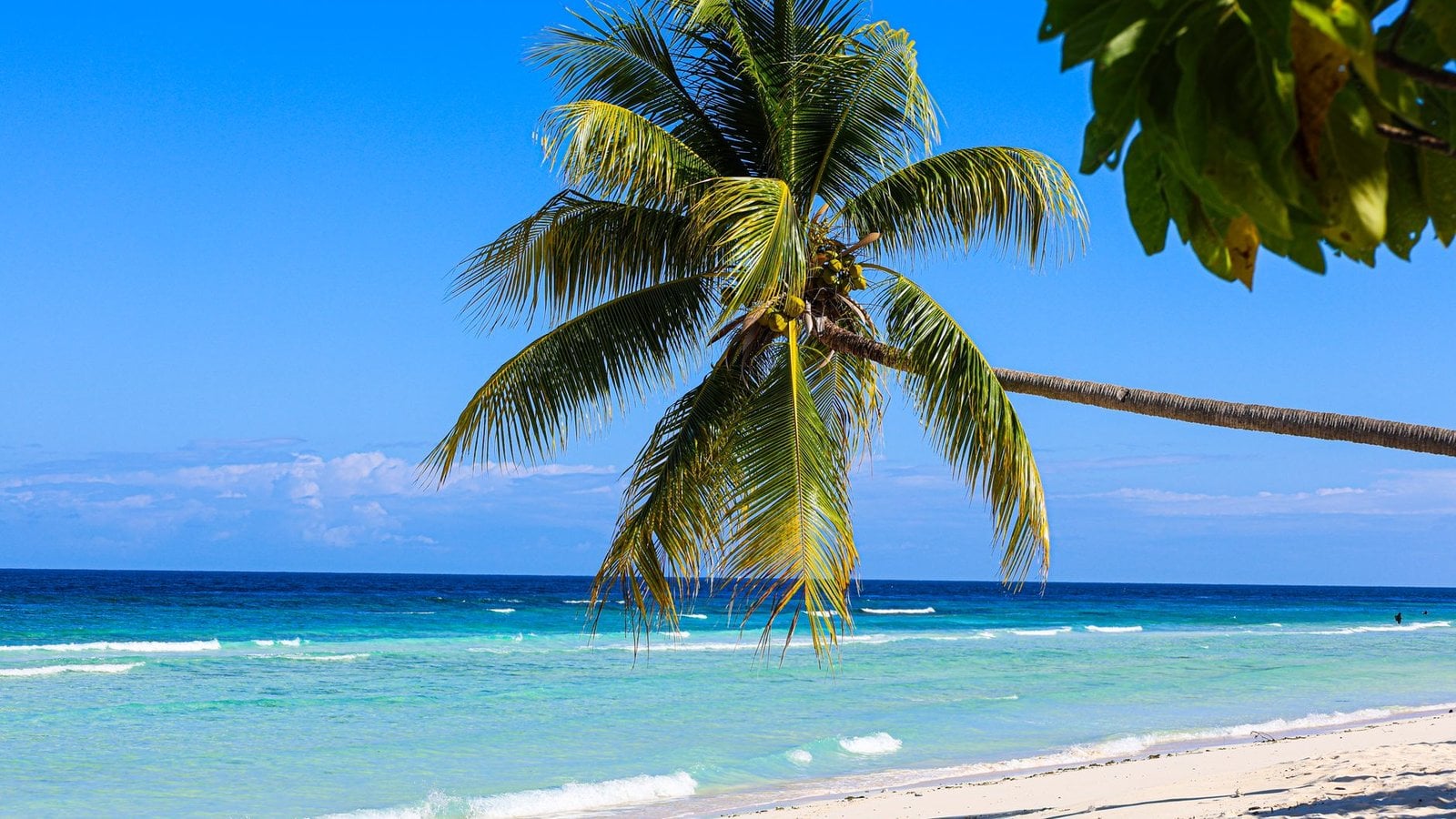 Jamaica Travel Agents