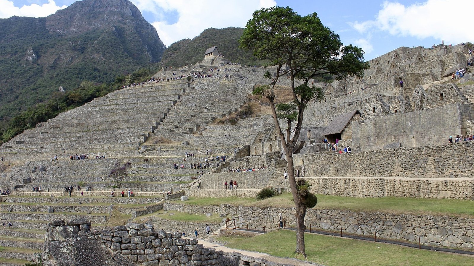 Best Machu Picchu Tours Travel Agents