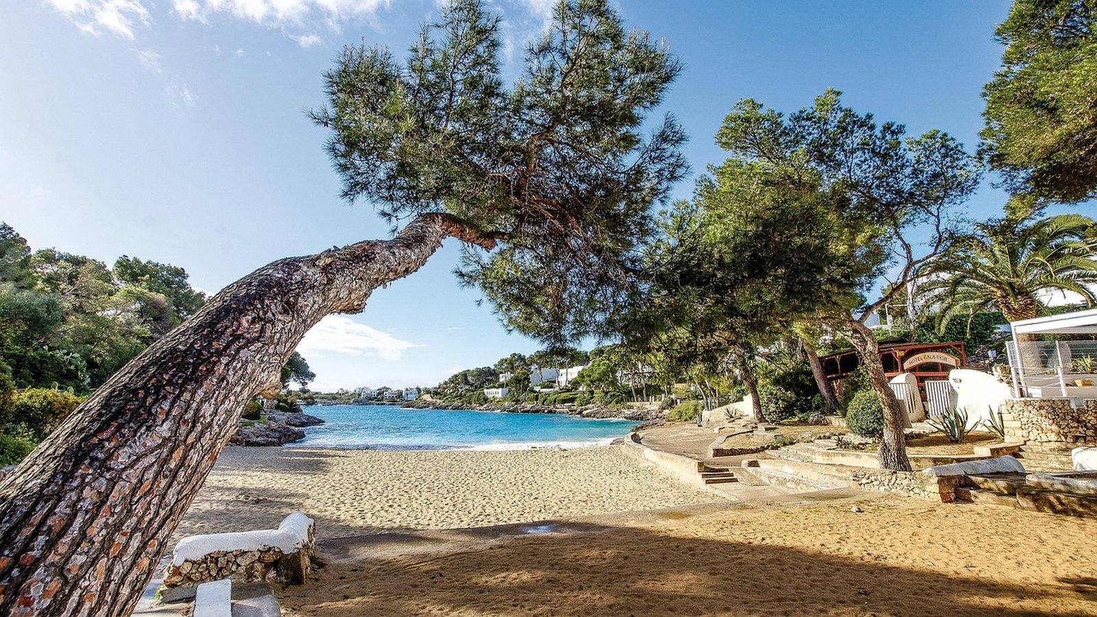 Best Mallorca Vacation Travel Agents