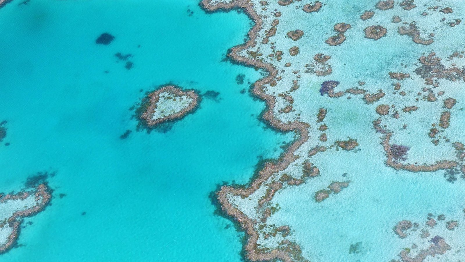 Best Memorable Belize Travel Agents